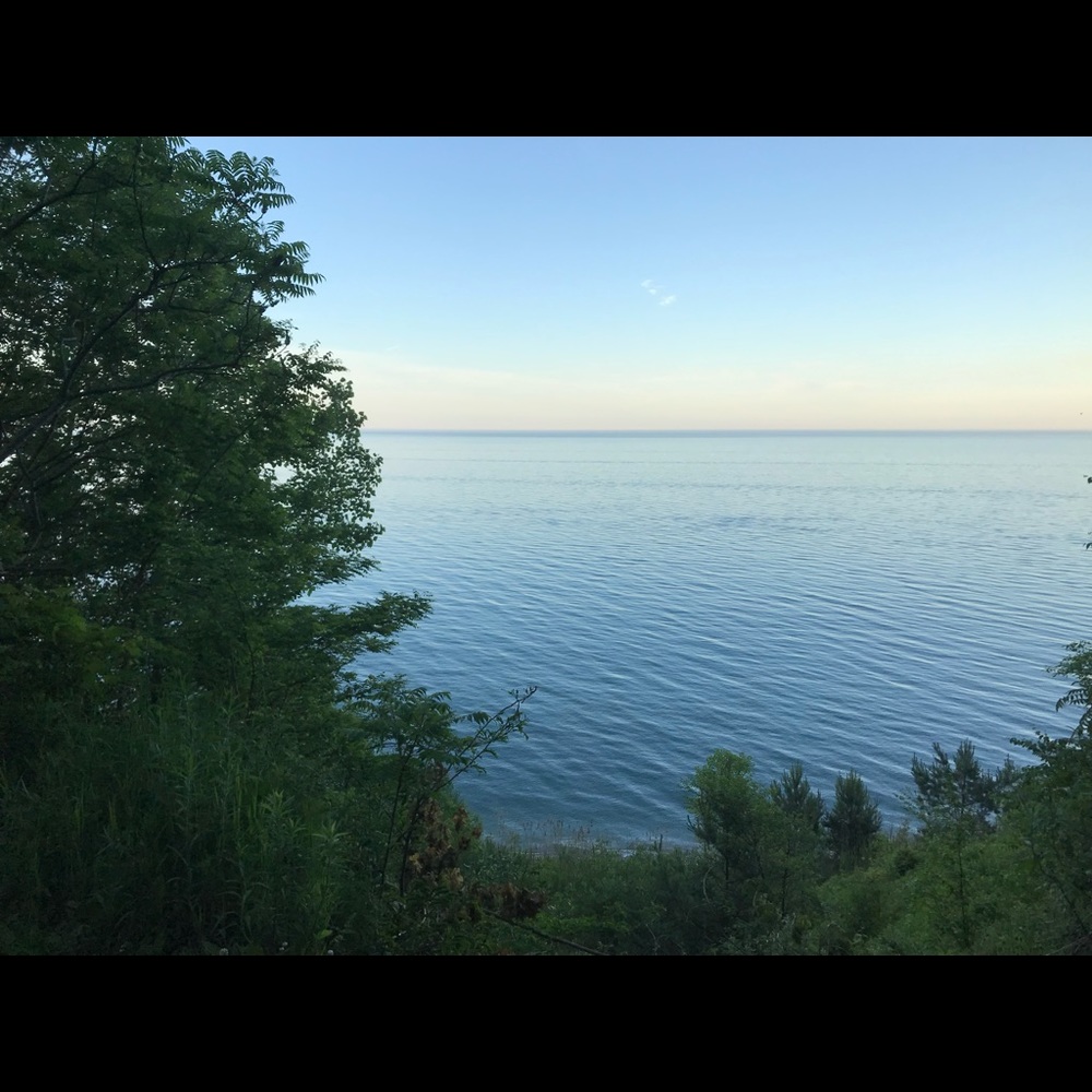 Meet your Posher, Wynston